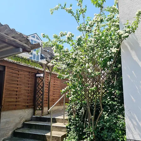 Mit Blick Auf Den Rheingrafenstein アパート バート・クロイツナハ