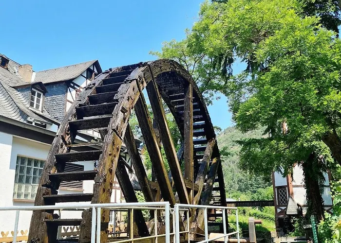 Mit Blick Auf Den Rheingrafenstein