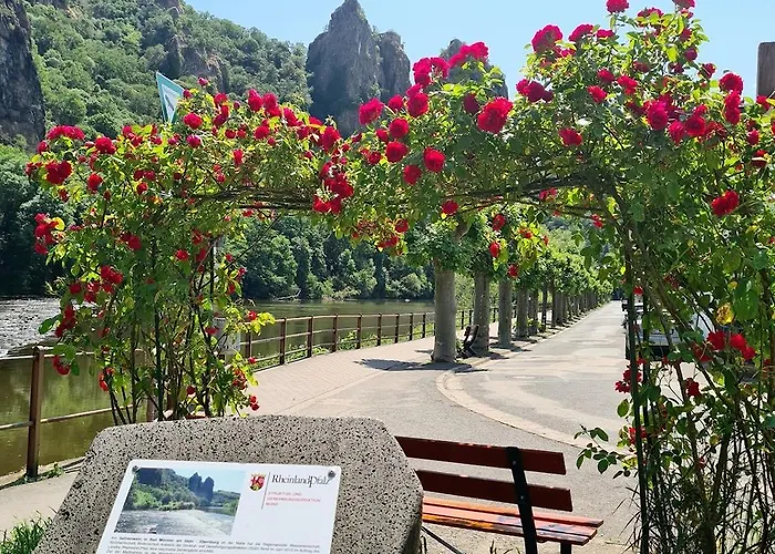 아파트 Mit Blick Auf Den Rheingrafenstein