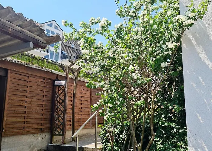 Mit Blick Auf Den Rheingrafenstein 아파트 바트크로이즈나흐